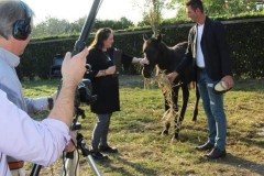 IMG_20260128_112227-Media
